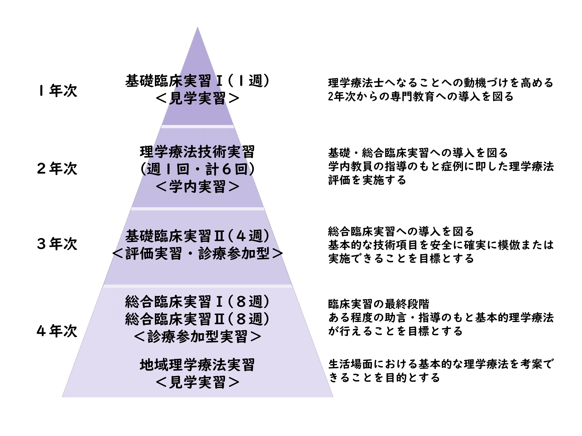 臨床教育 段階図